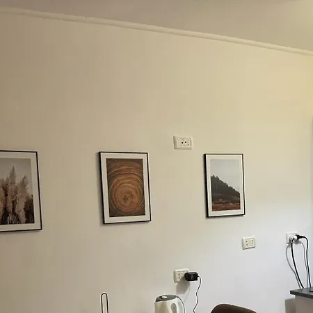 Muresenilor Apartment